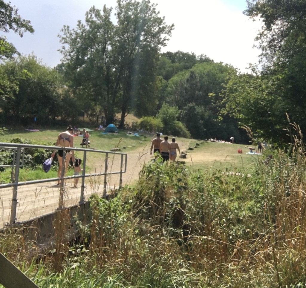 Zschorner Grund Dresden