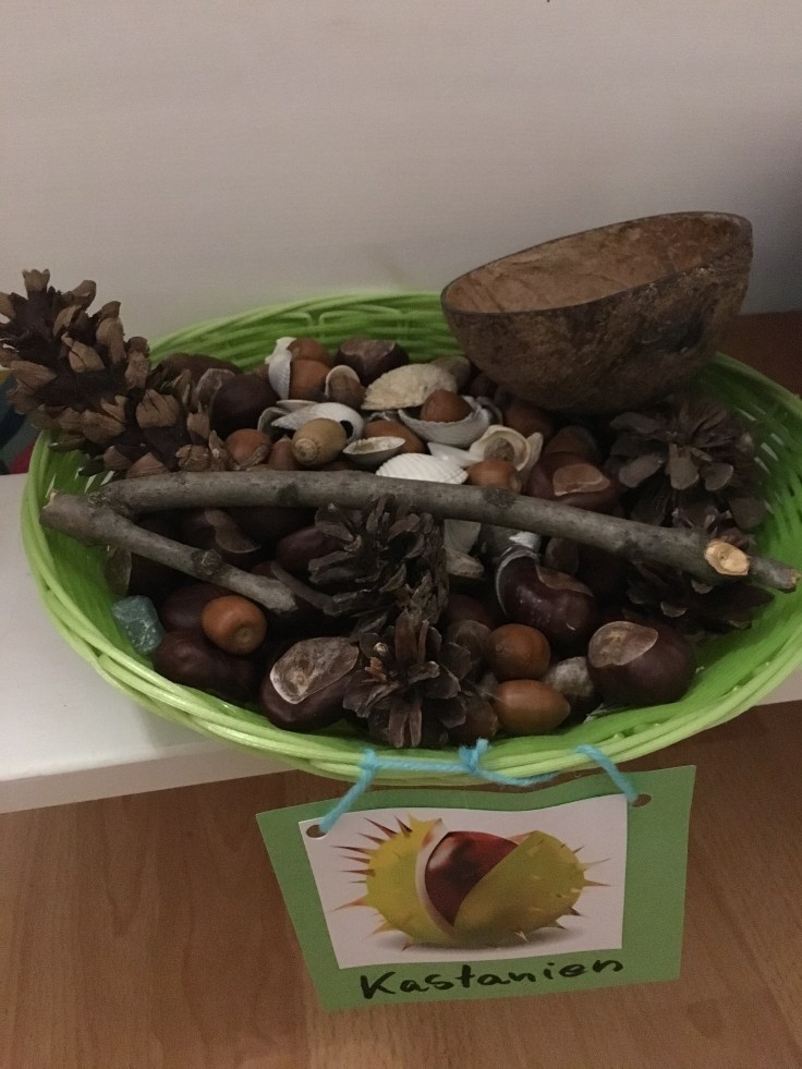Natur im Kinderzimmer