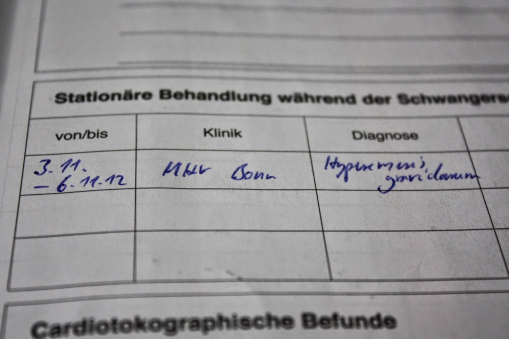 Hyperemesis Gravidarum Notiz Mutterheft