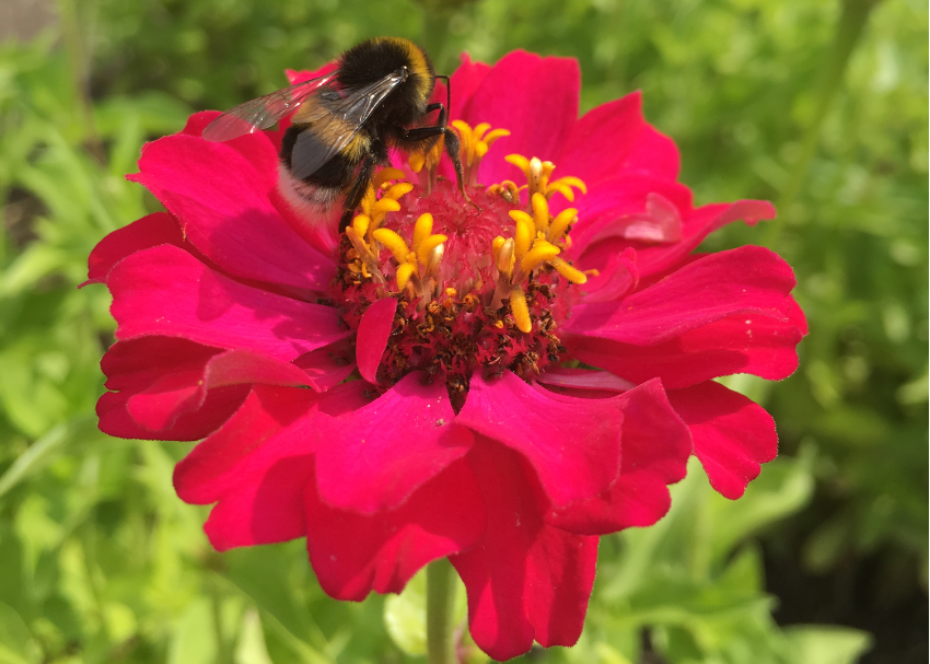 Happy Birthday: Ich feiere 1 Jahre DRESDEN MUTTI! [+&nbsp;VERLOSUNG]