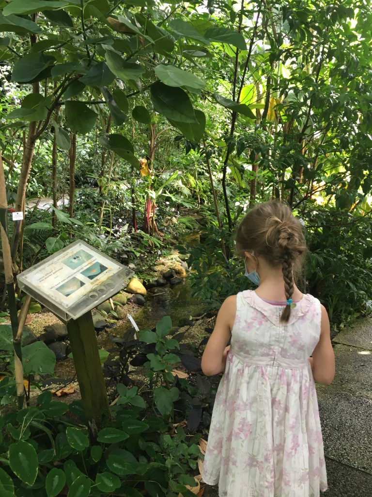 Kind im Botanischen Garten