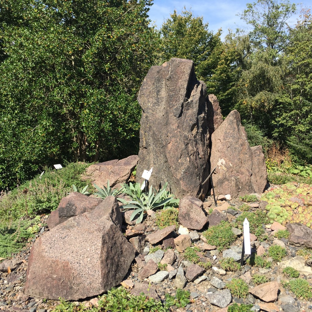 Felsen im Botanischen Garten