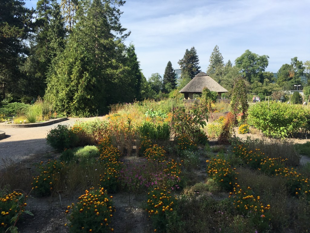 Botanischer Blumengarten
