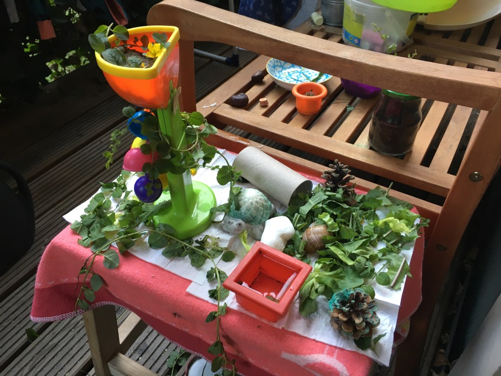Schneckenwelt auf dem Balkon