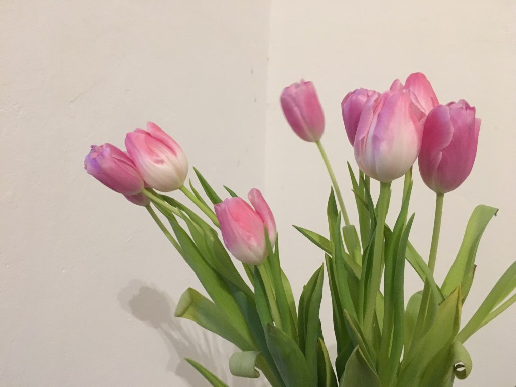 5 Dinge, auf die ich mich im Frühling&nbsp;freue