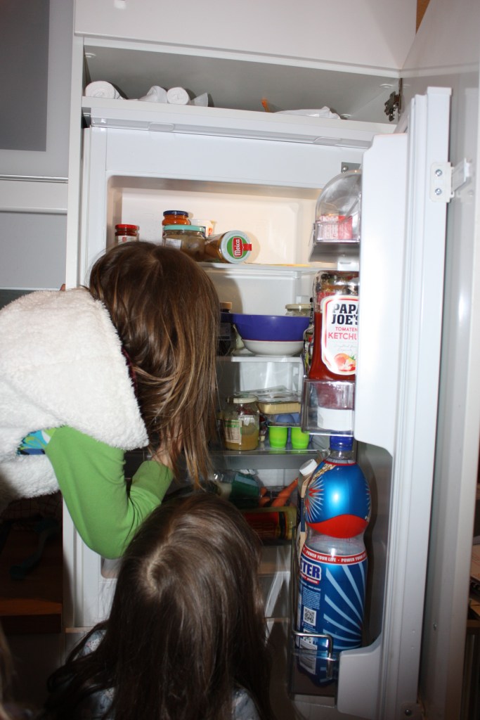 Kinder am Kühlschrank