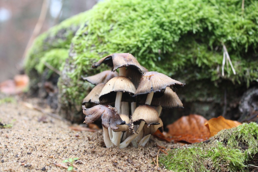 30 schöne Momente im November&nbsp;#30am30