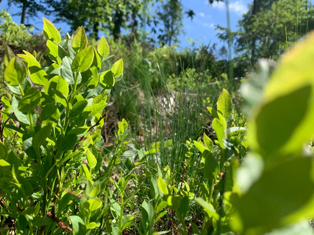 30 schöne Momente im Mai 2022&nbsp;#30am30