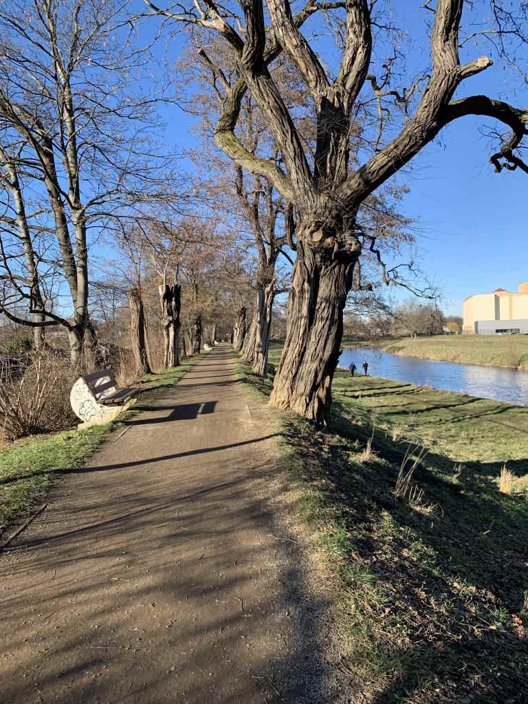 Weg an der Zwickauer Mulde