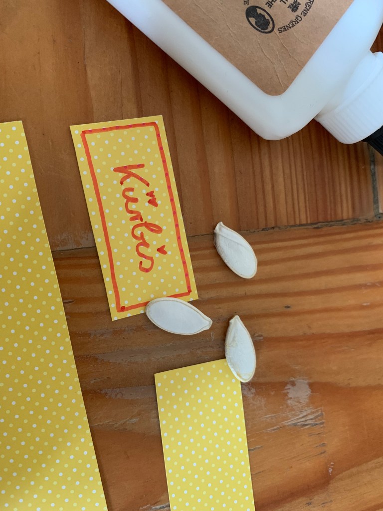 Schild Kürbis und Kürbissamen