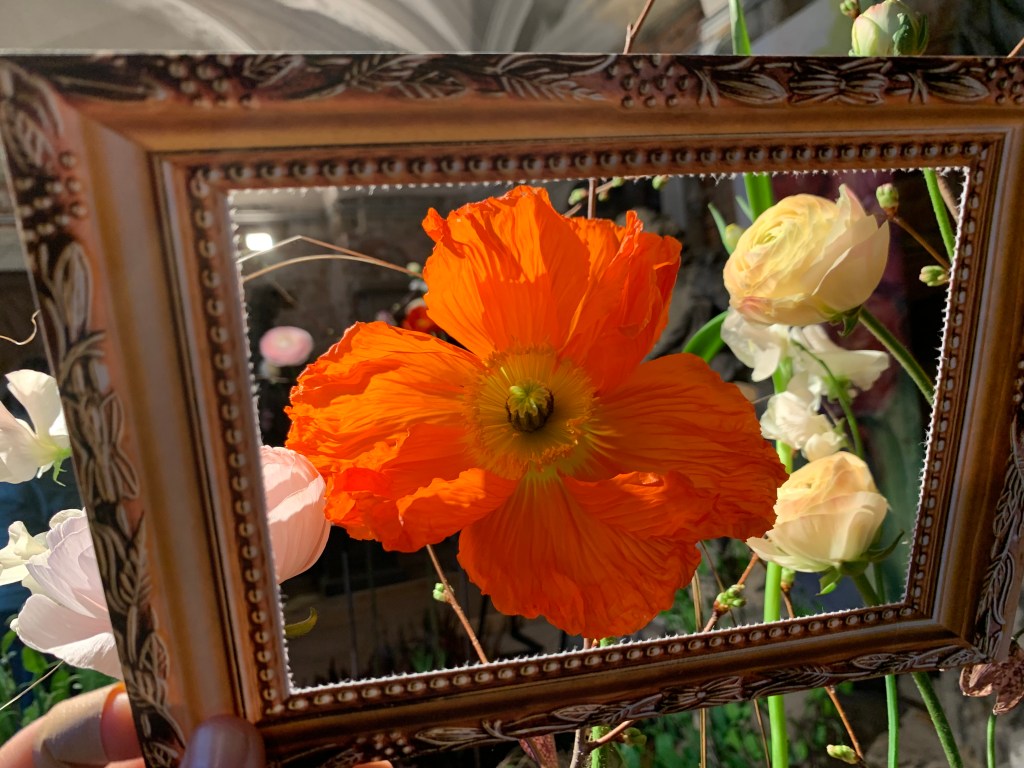 Dresdner Frühling 2023