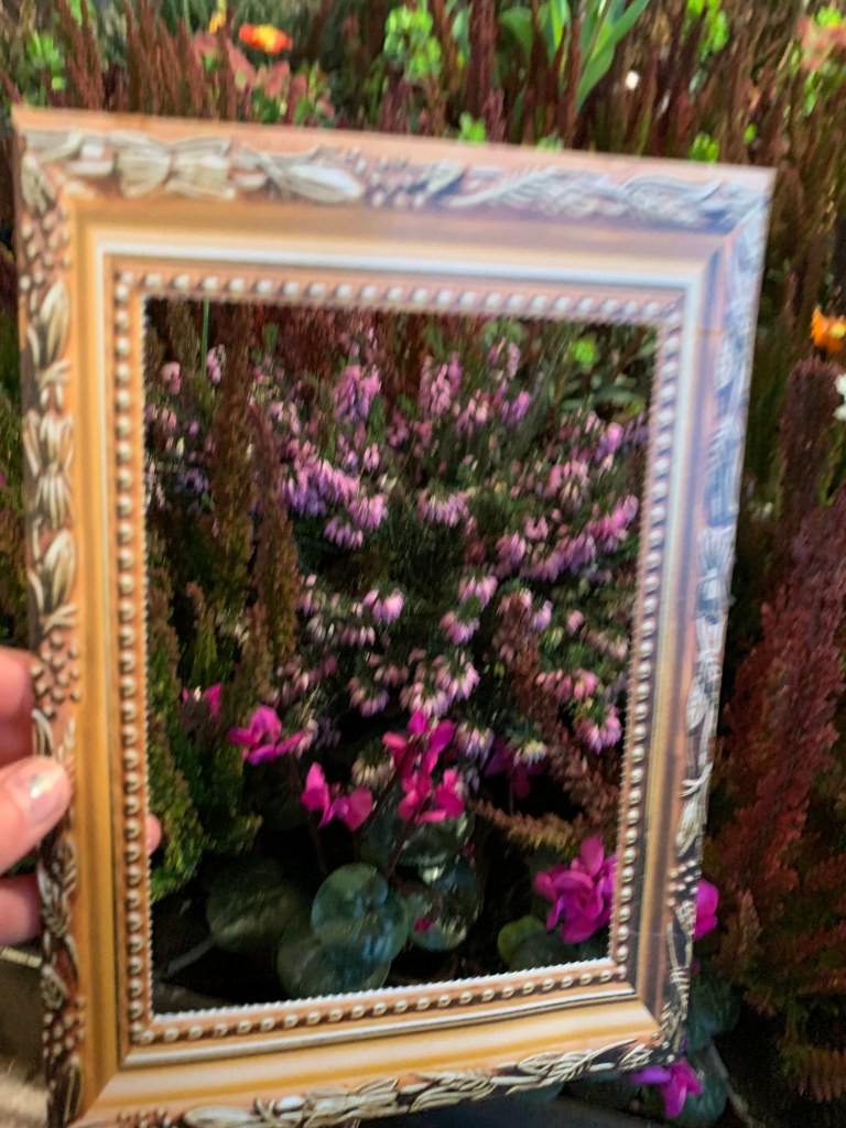 Dresdner Frühling 2023