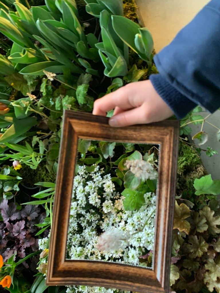 Dresdner Frühling 2023