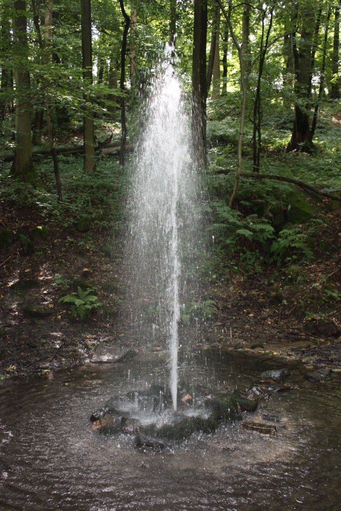 Springbrunnen im Wald