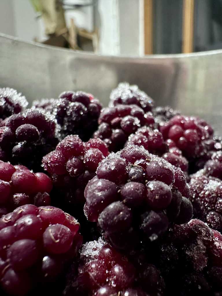 Gefrorene Brombeeren