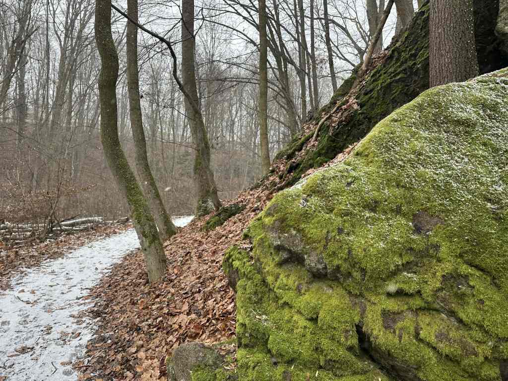 Moosbewachsener Felsen