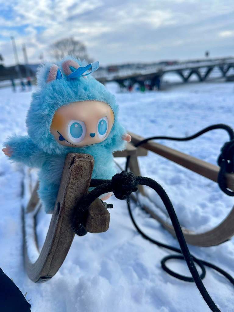 Labubu auf Schlitten