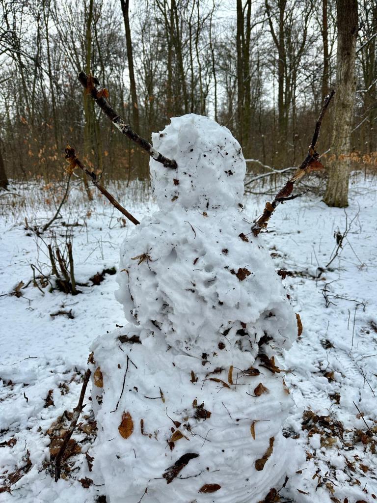 Schneemann im Wald