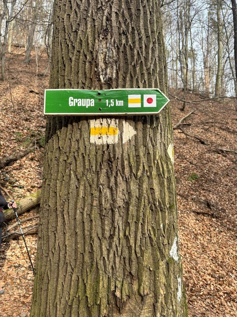Schild "Graupa 1,5 km" an einem Baum