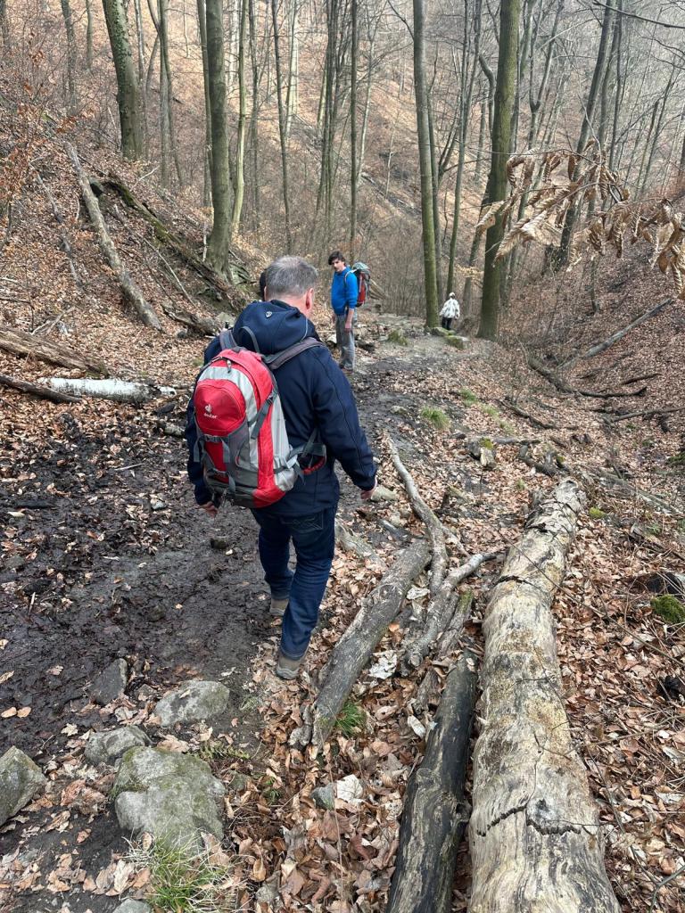 Wanderweg nach unten