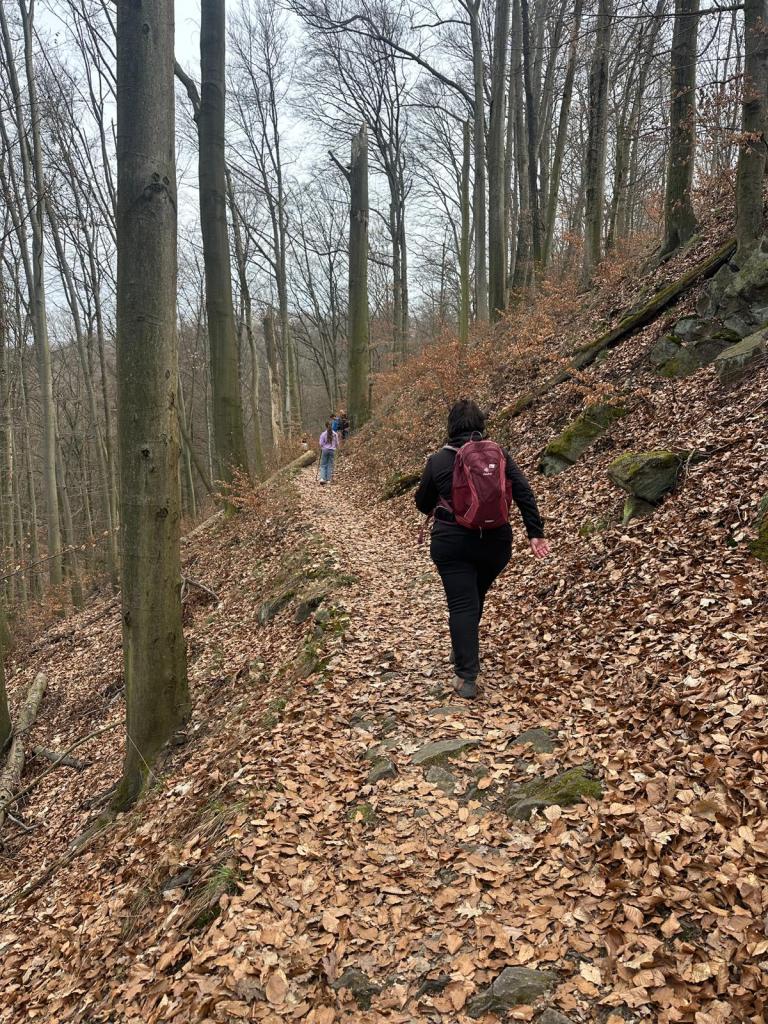 Frau läuft auf Pfad durch den Wald