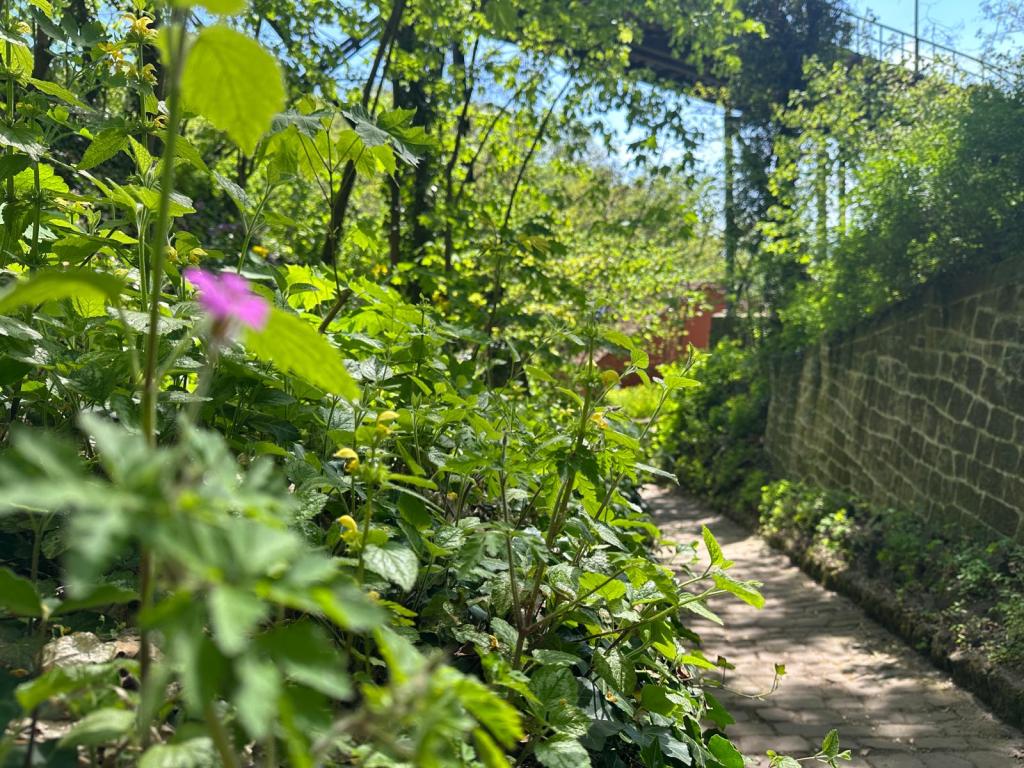 Wanderung 7: zwischen den&nbsp;Bergbahnen