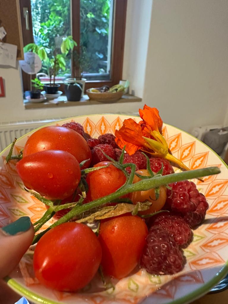 Tomaten, Himbeeren, Kapuzinerkresse