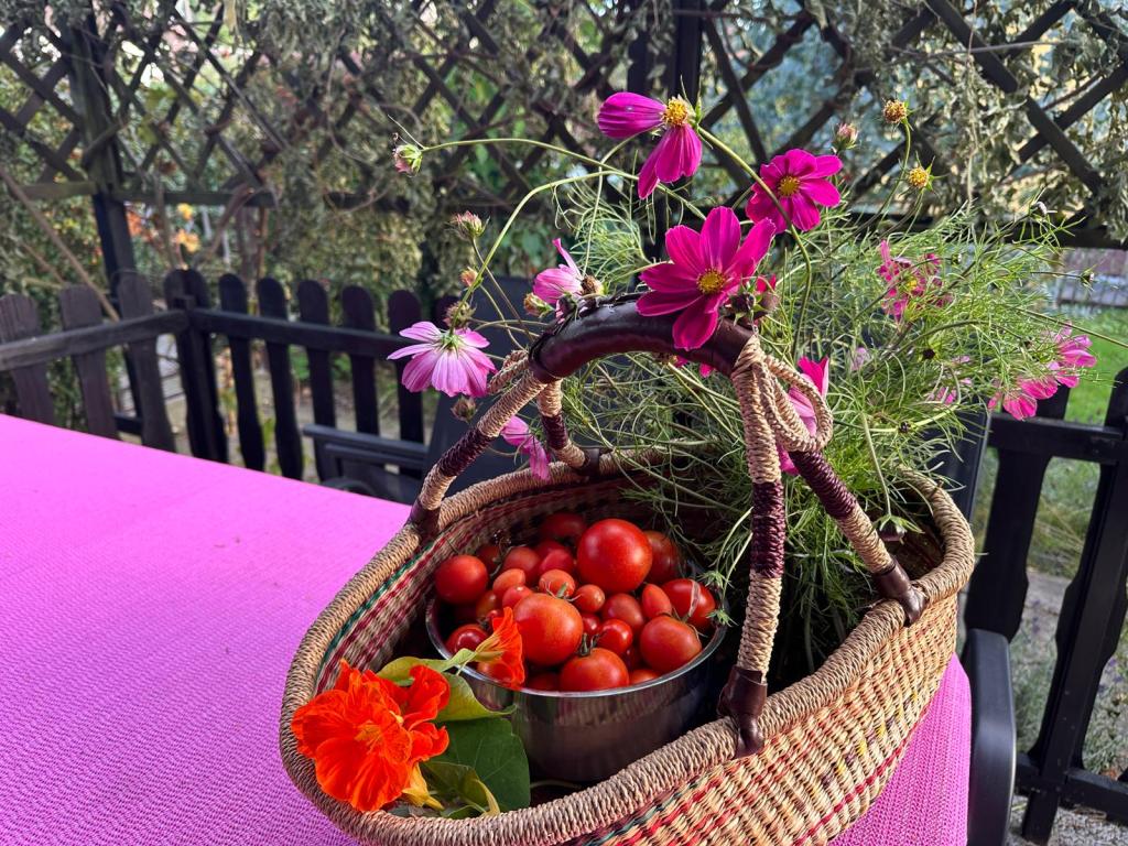 Korb voll mit tomaten und Blumen