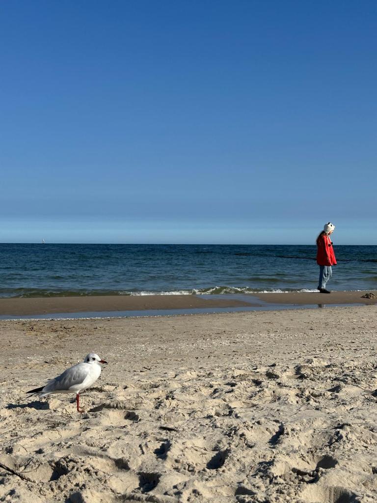 Vogel am Strand